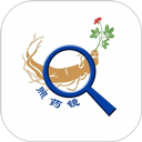 红叶影评